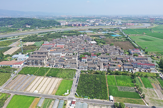 新橋下村：鄉村振興“變形記”